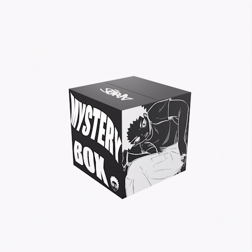 Medium Mystery Box