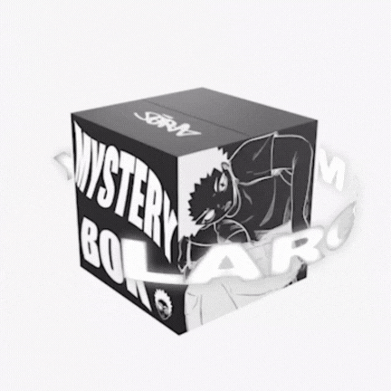 Large Mystery Box